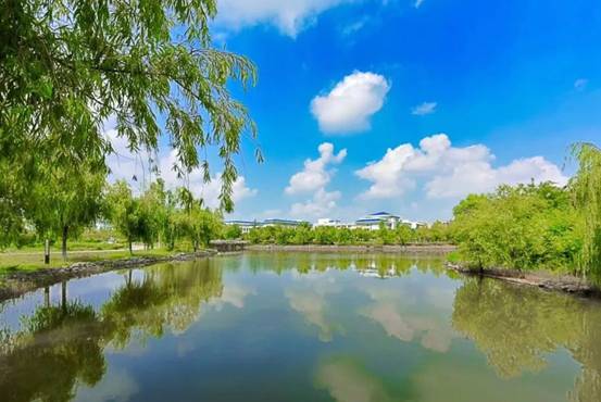 寵辱不驚  淡泊養(yǎng)志氣