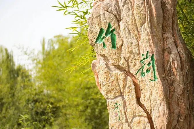 技術引領未來就業市場，看清全球人才招聘趨勢