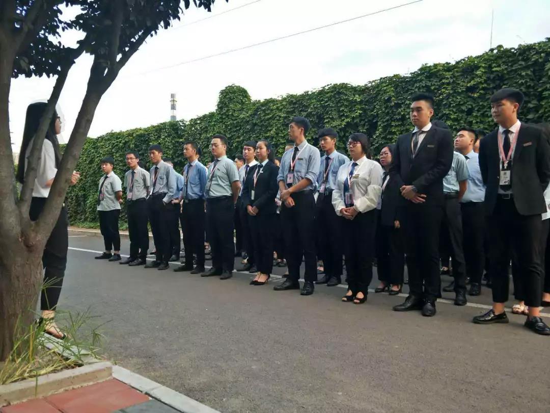 八維職業(yè)學(xué)校:領(lǐng)航職業(yè)教育AI革新,打造職業(yè)教育新境界!