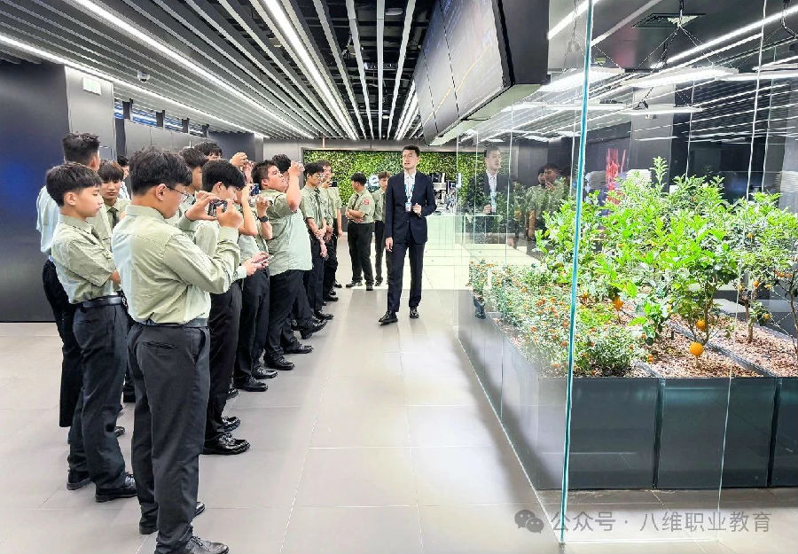 八維職業學校：領航前沿數字技術，開創未來職場精英新輝煌！